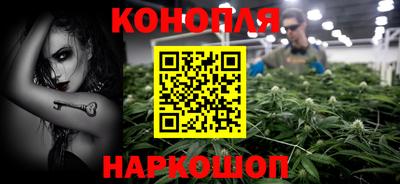 дмт Новодвинск