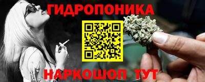 дмт Новодвинск